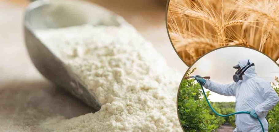 Farine, alcune sono piene di dannosi pesticidi: le marche più contaminate